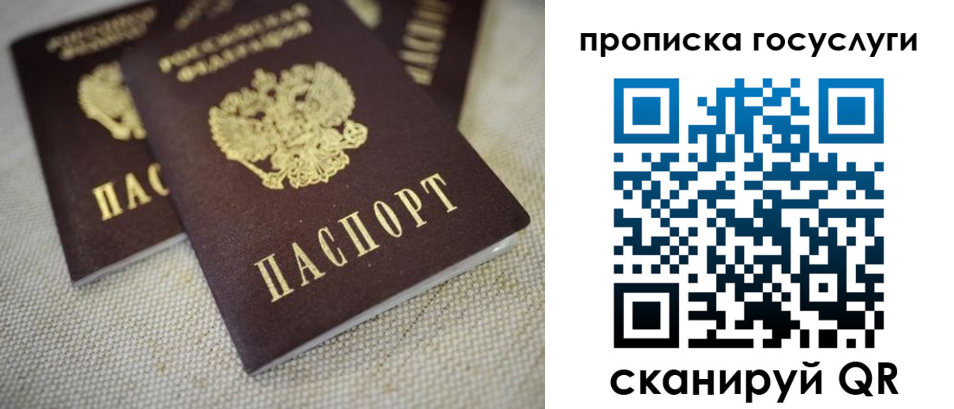 прописка регистрация в Петропавловске-Камчатском